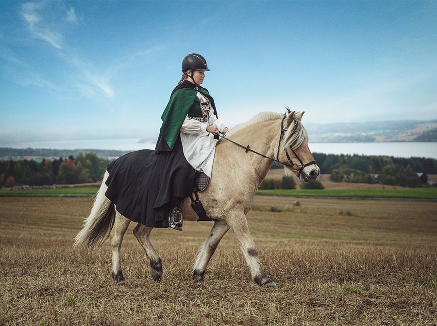 mennesker på en fjording-hest
