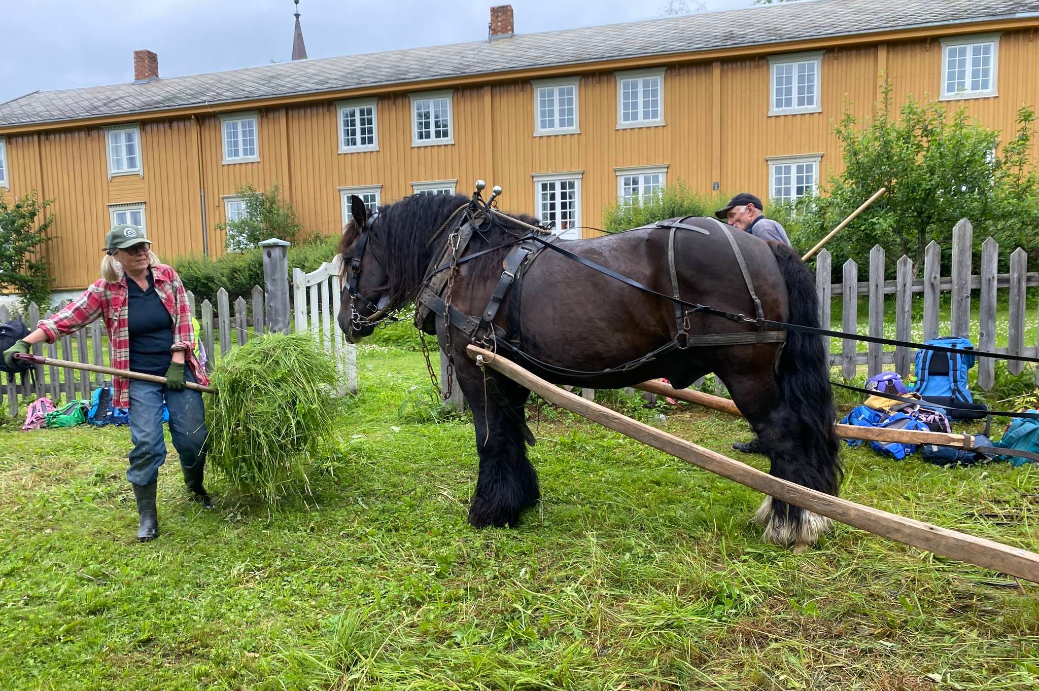 låve med hest og person foran