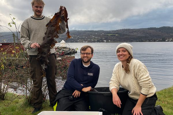 tre personer ved fjorden