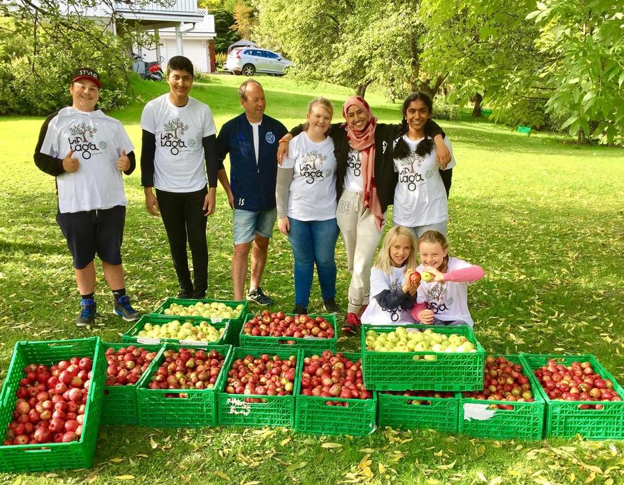 ungdommer har plukket epler