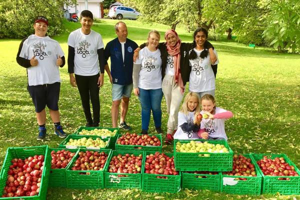 ungdommer har plukket epler