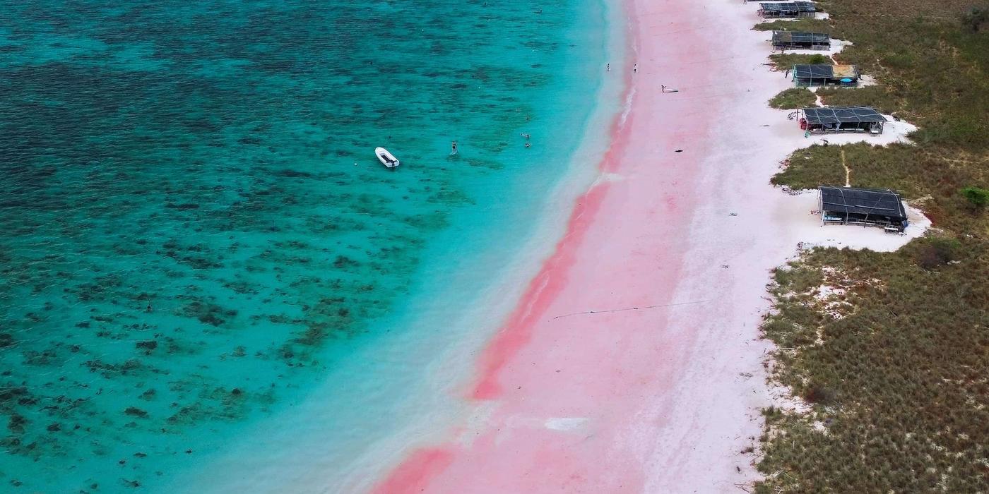 Pink Beach: The Colorful Symbol of Flores