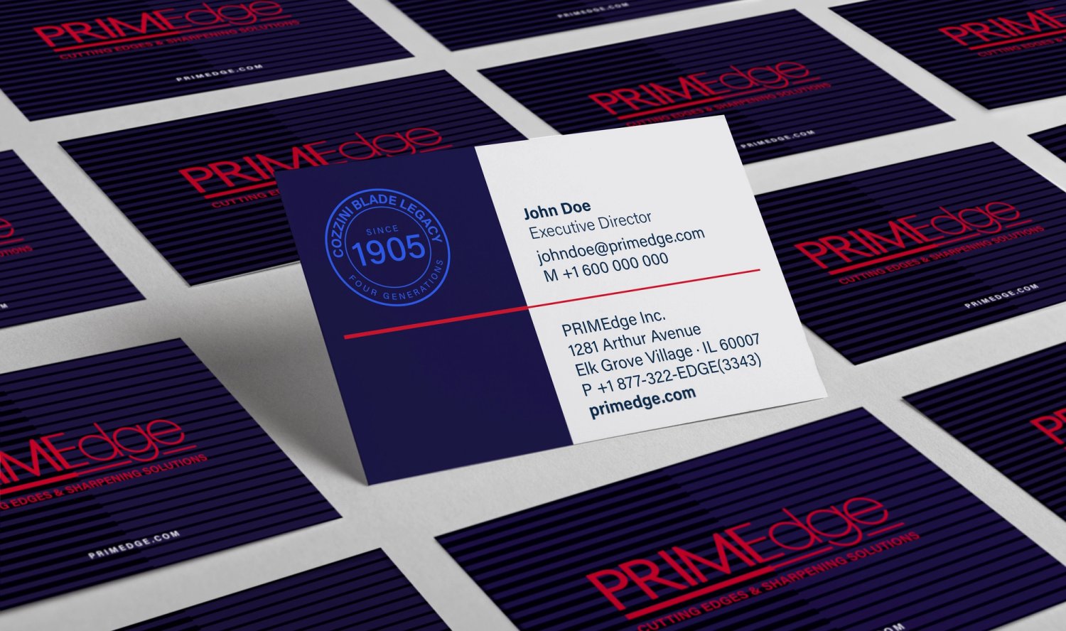 SAFAREIG web PRIMEdge 03