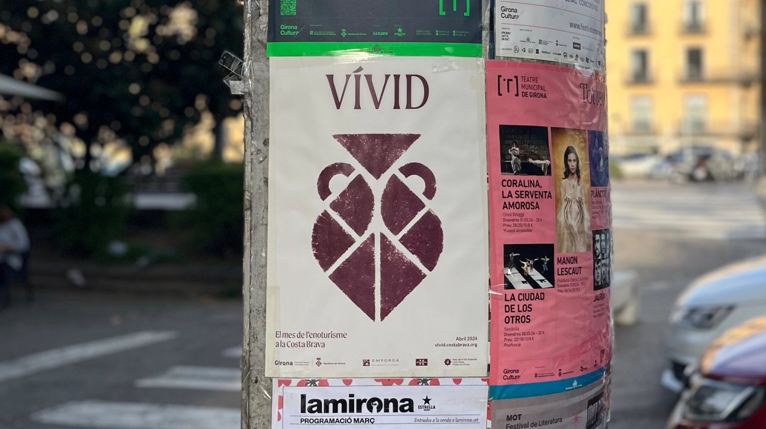 SAFAREIG 24 Reel Vívid P01 copia