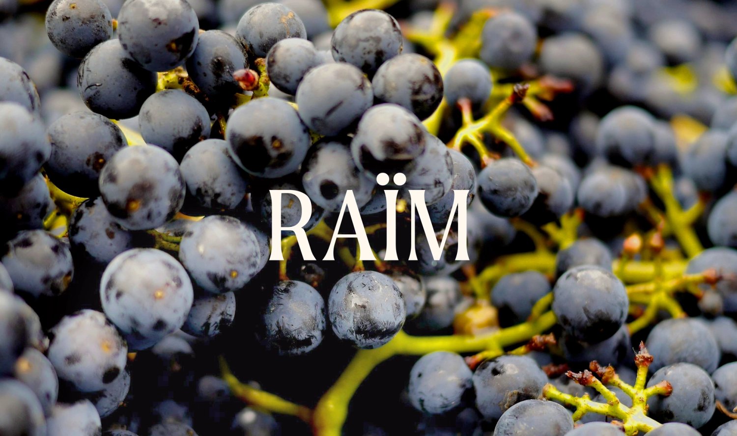 safareig_vivid_animacio_4976x2946px