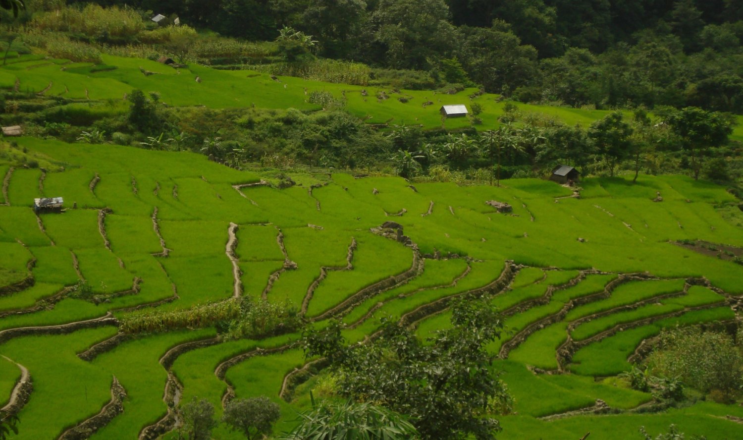 safareig_tradersnout_10_4976x2500px