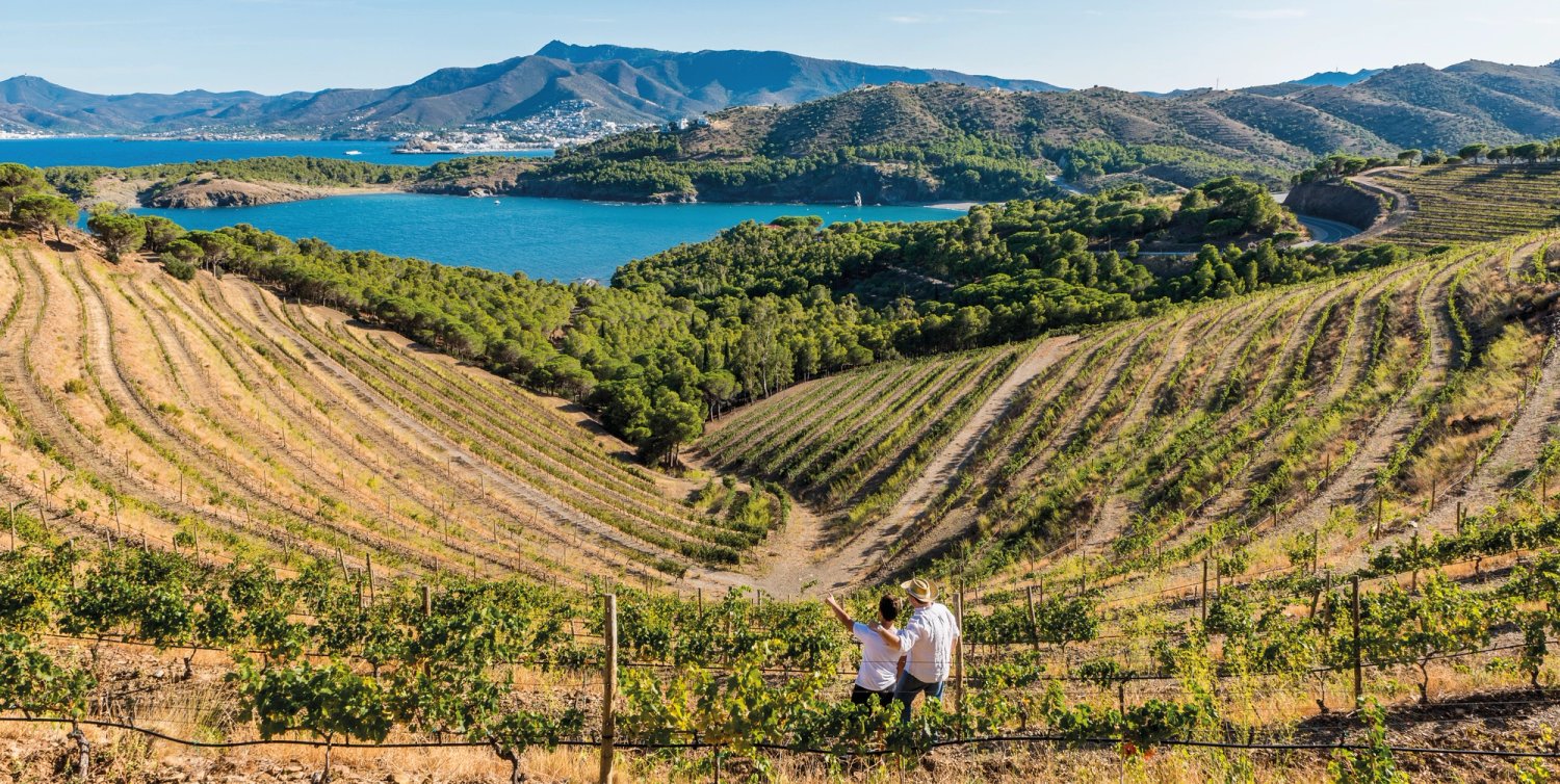 SAFAREIG web VIVID 04