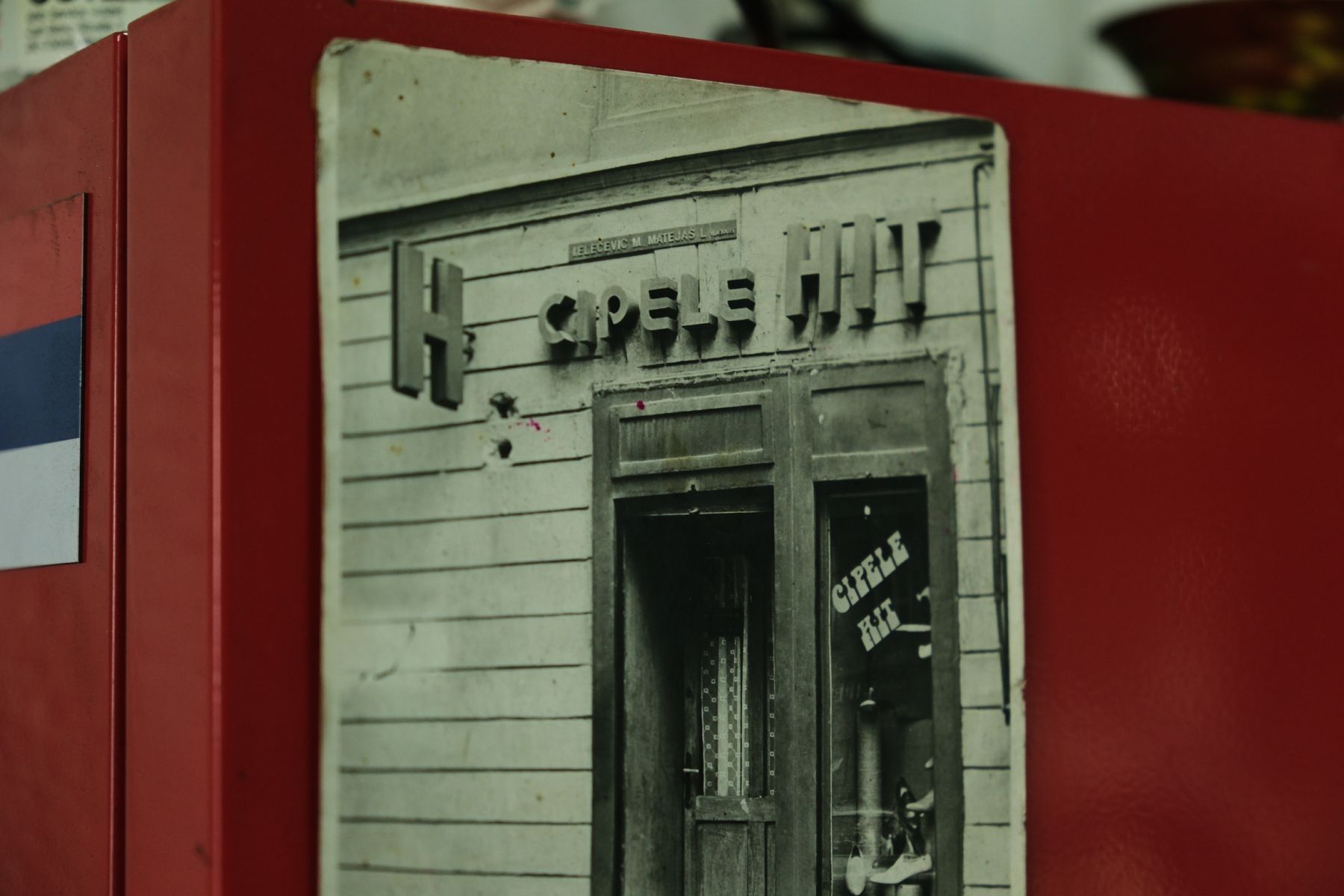 Foto: Aleksandar Stupar/ Vajb.info