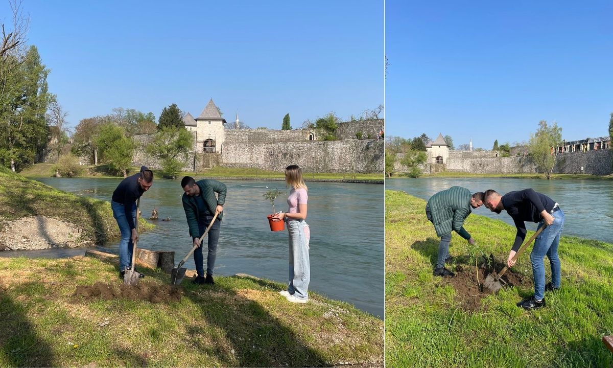 Nakon sječe 25 stabala uz Vrbas, mladi samoinicijativno zasadili šest novih vrba