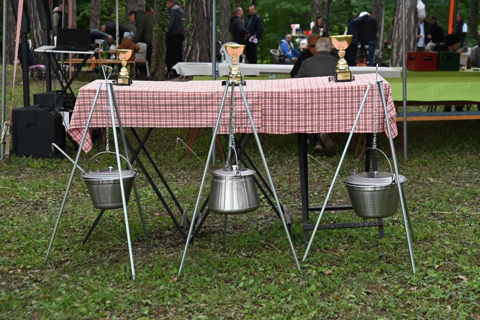 Slatinjska kuljača