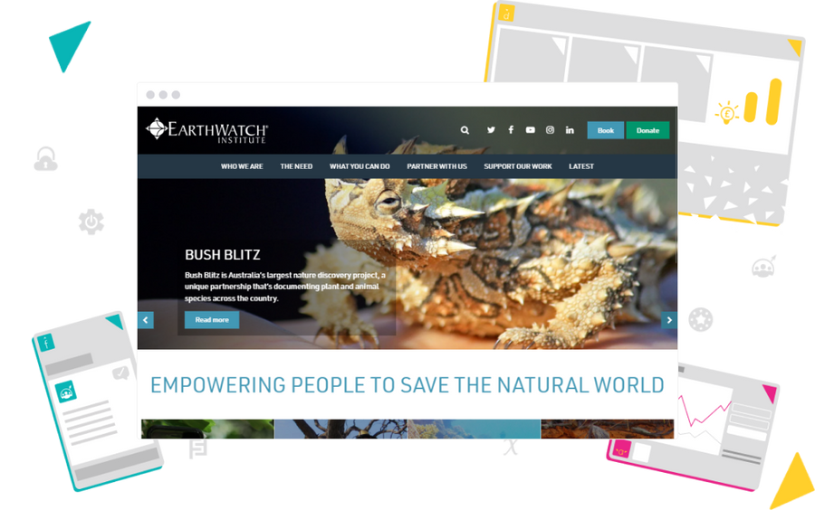 Non-profit website build