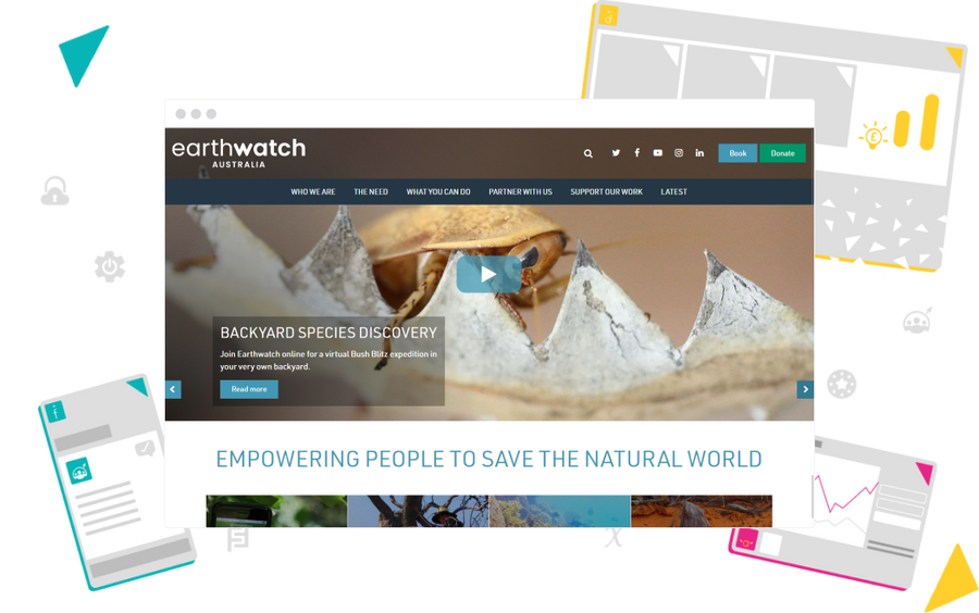 Non-profit website build