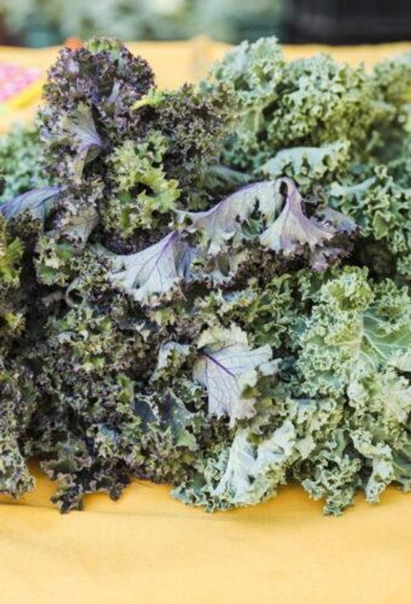 Caesar Salad with Kale and Cornish Yarg