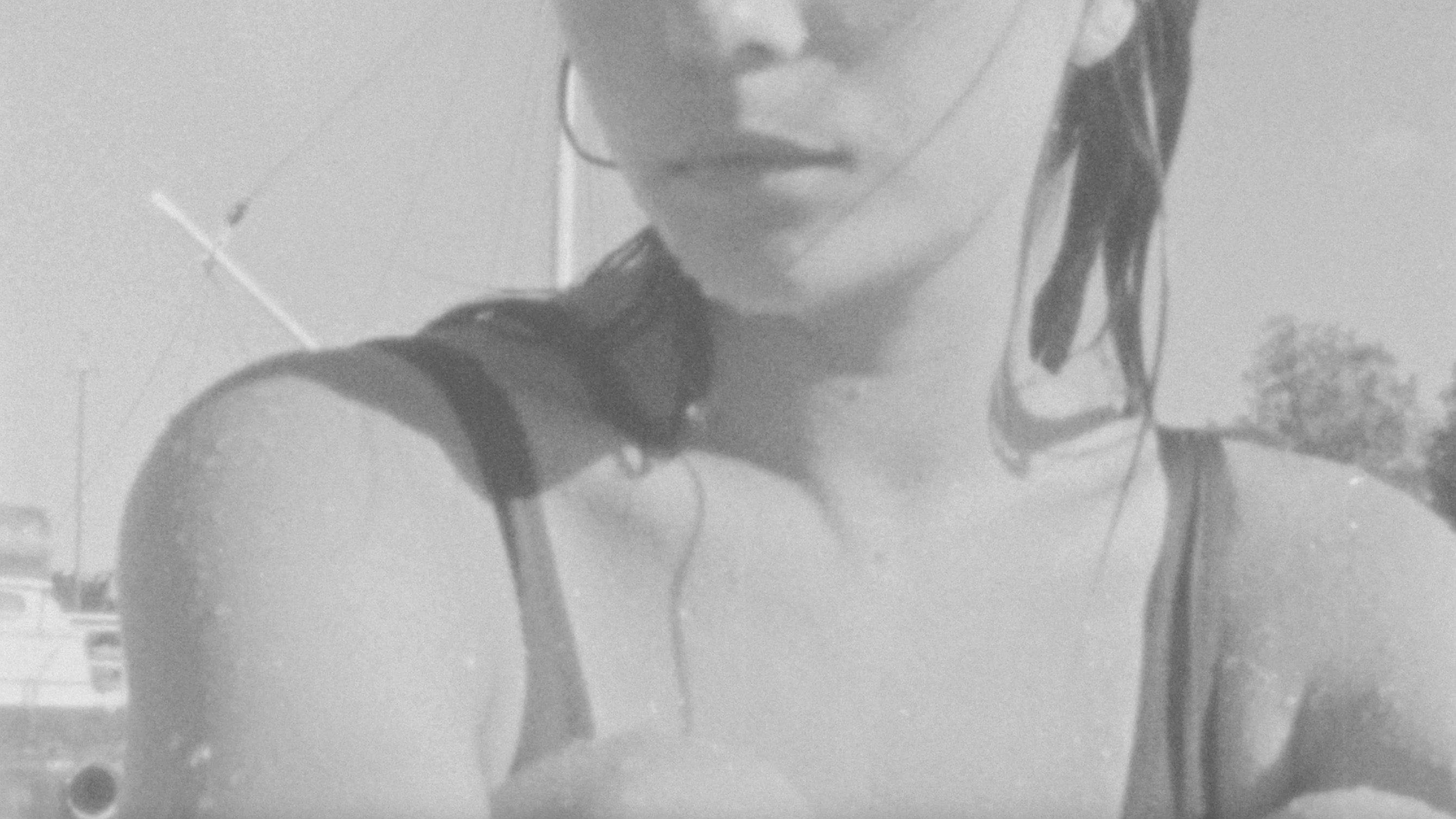 Summer 2026 documented by Olivia Lonsdale