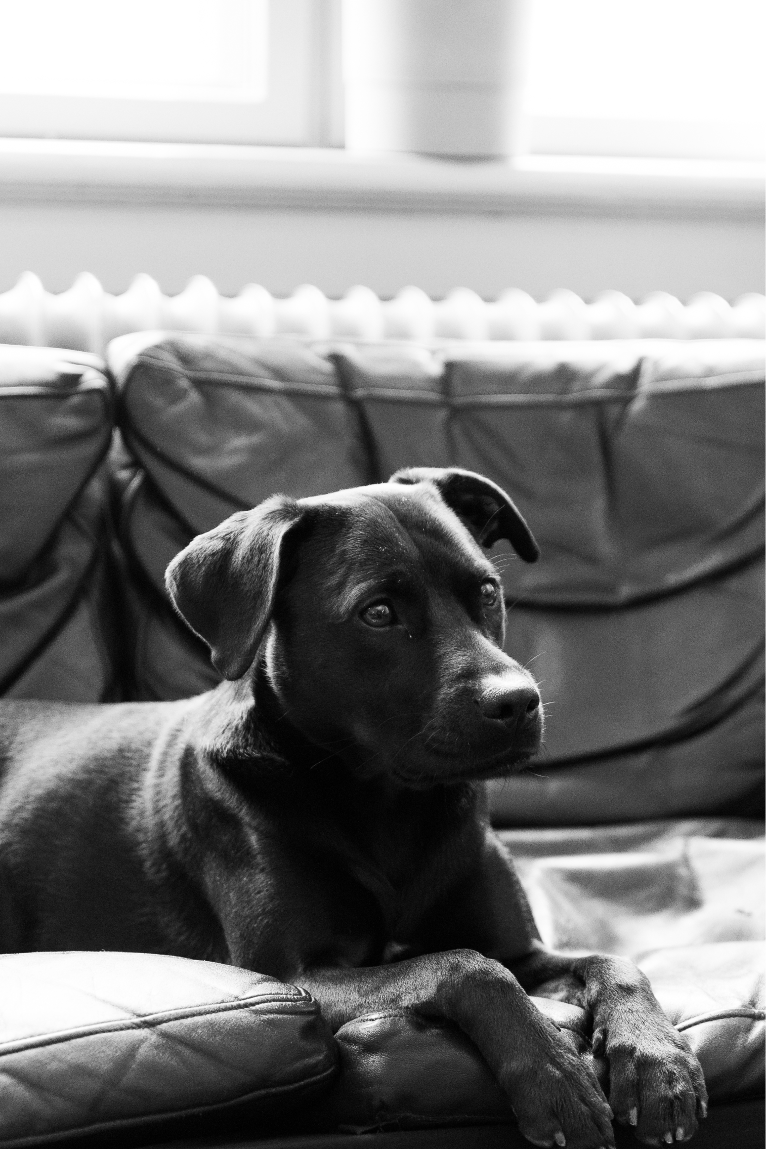 Sally