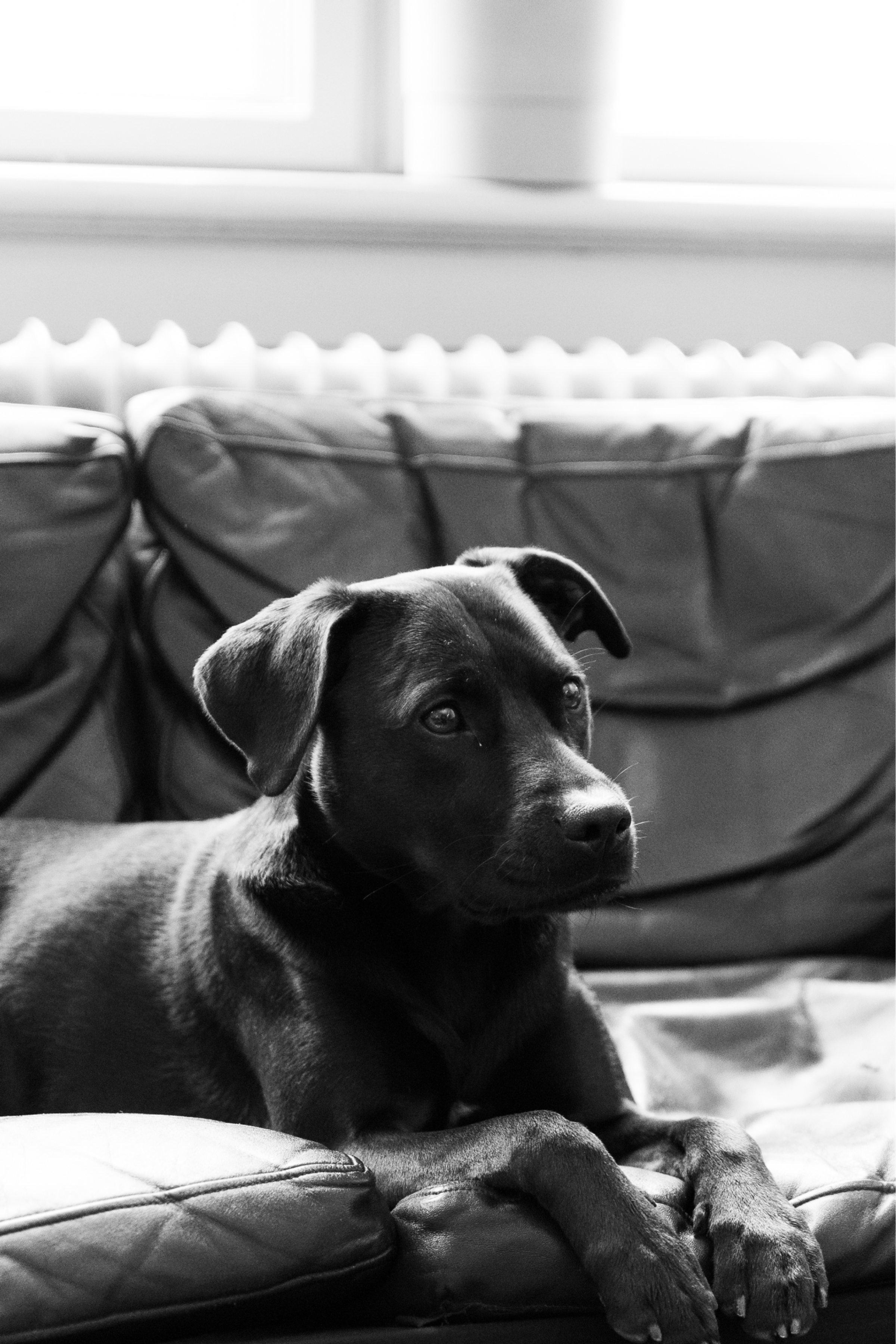 Sally