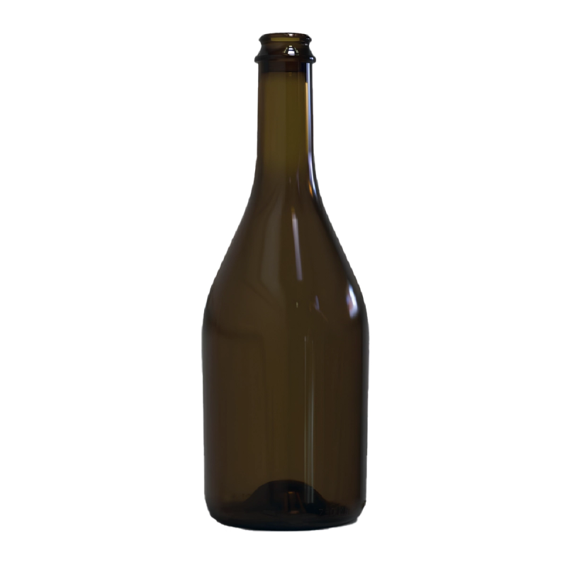 Botella Espumante Andes