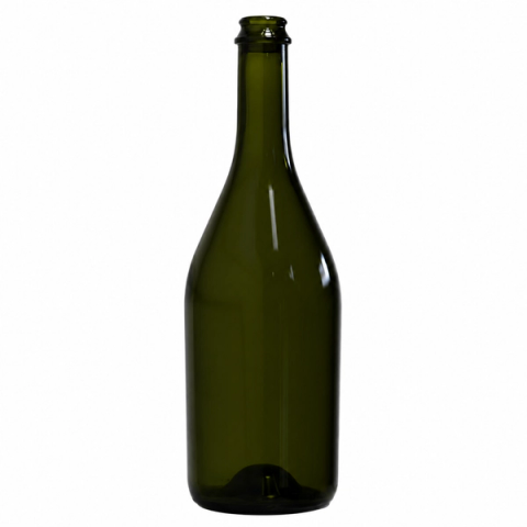 Botella Espumante Andes