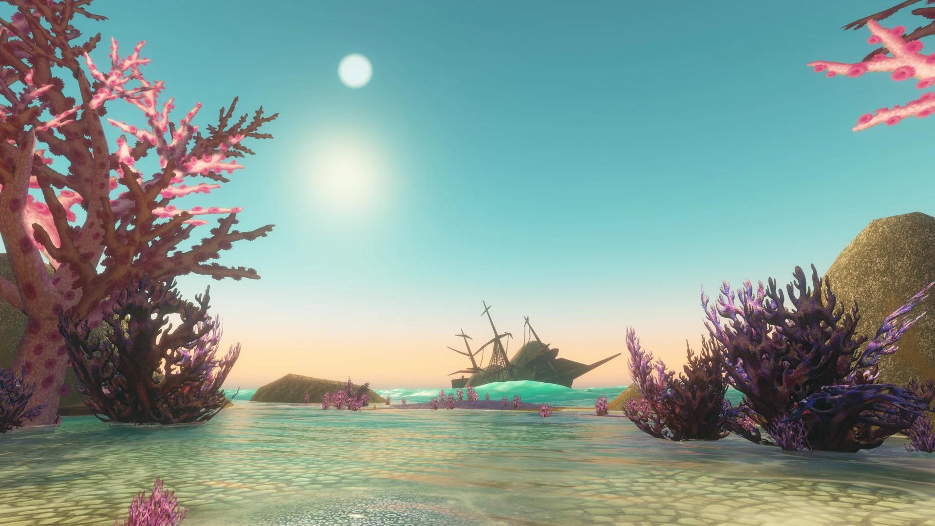 Coral and a shipwreck in the Drowned City