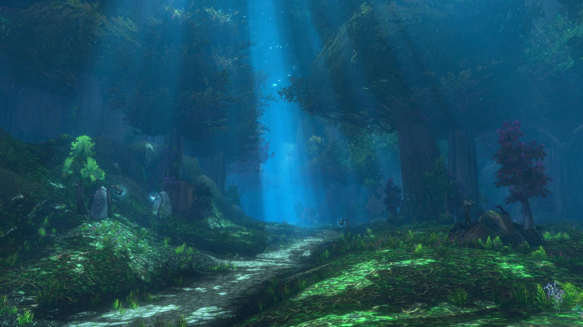 Sunbeams through a deep forest path