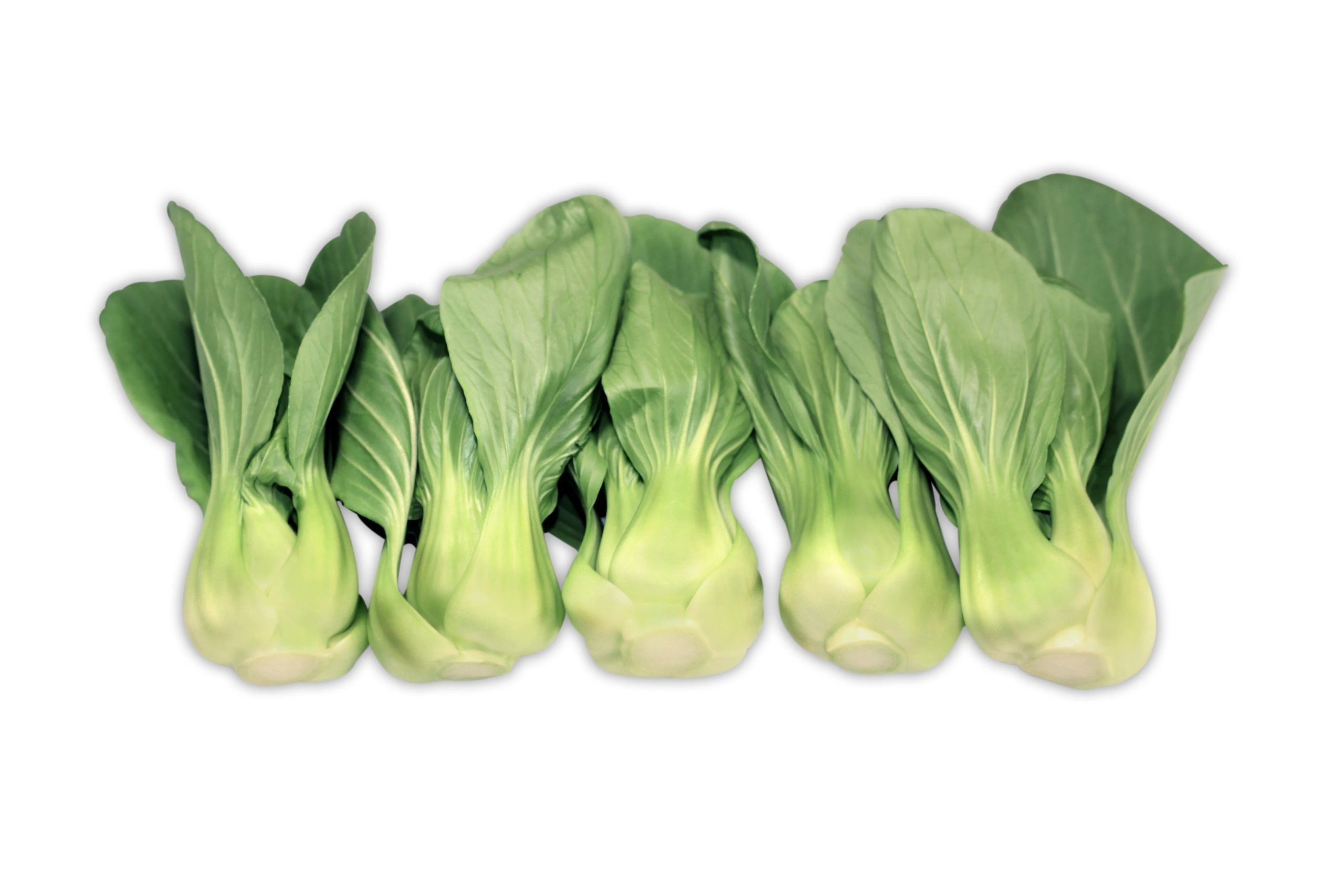 Shanghai Bok Choy Jr