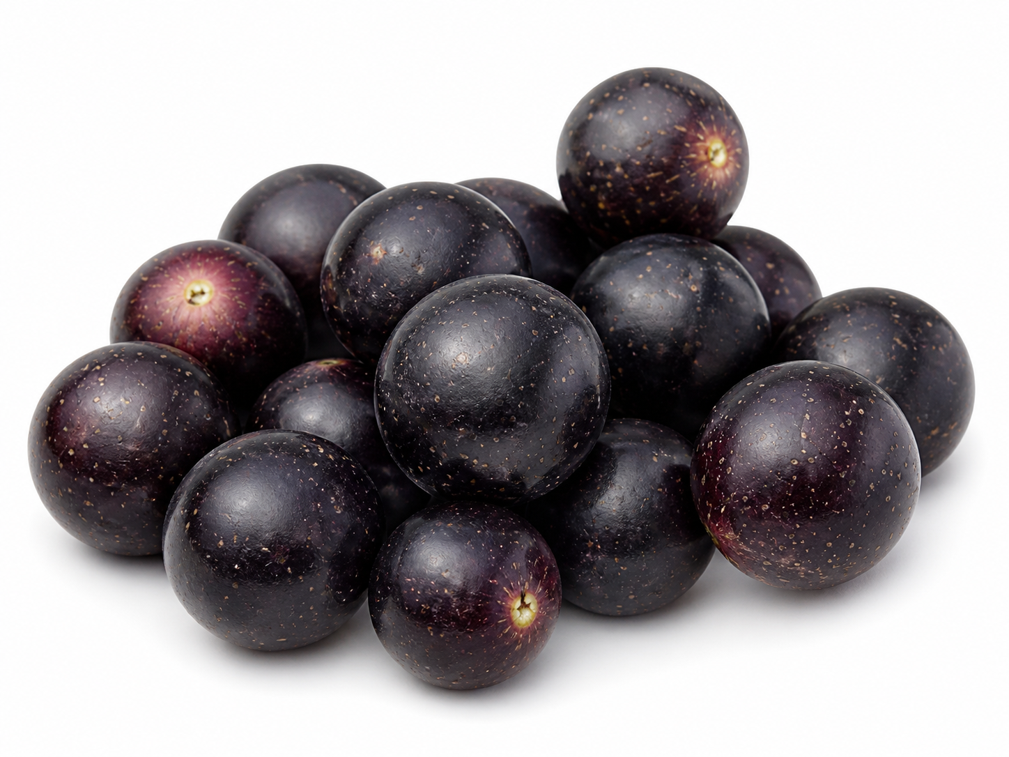 Muscadine Grapes (Georgia)