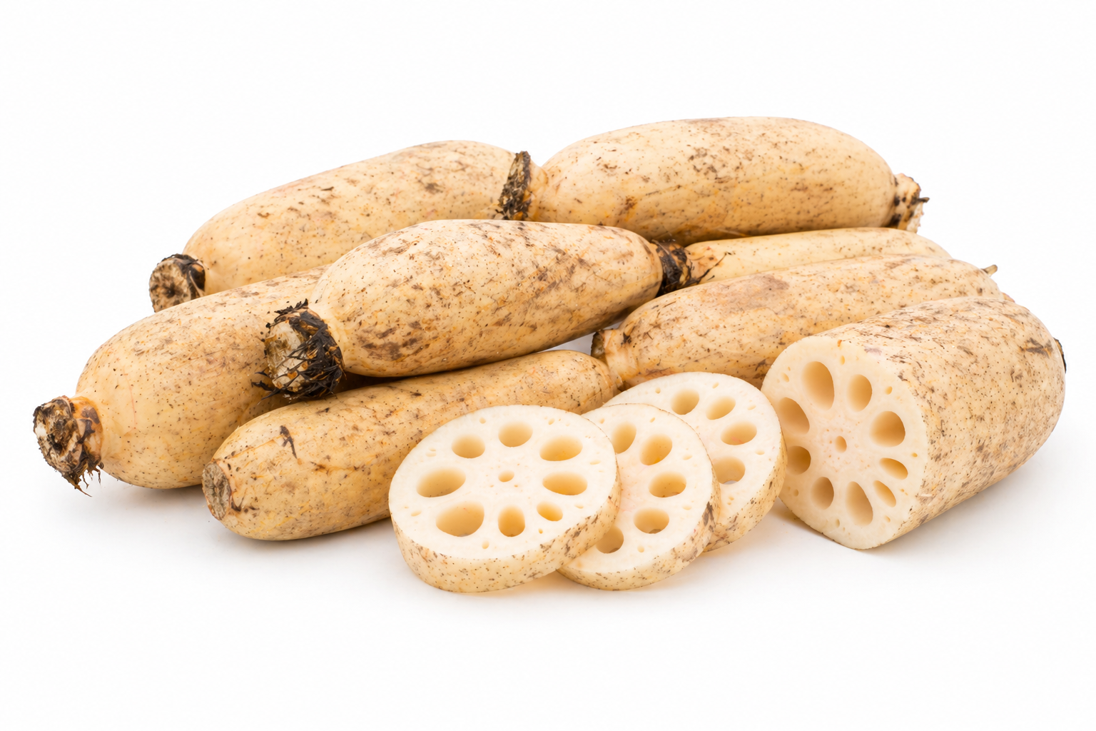 Lotus Root