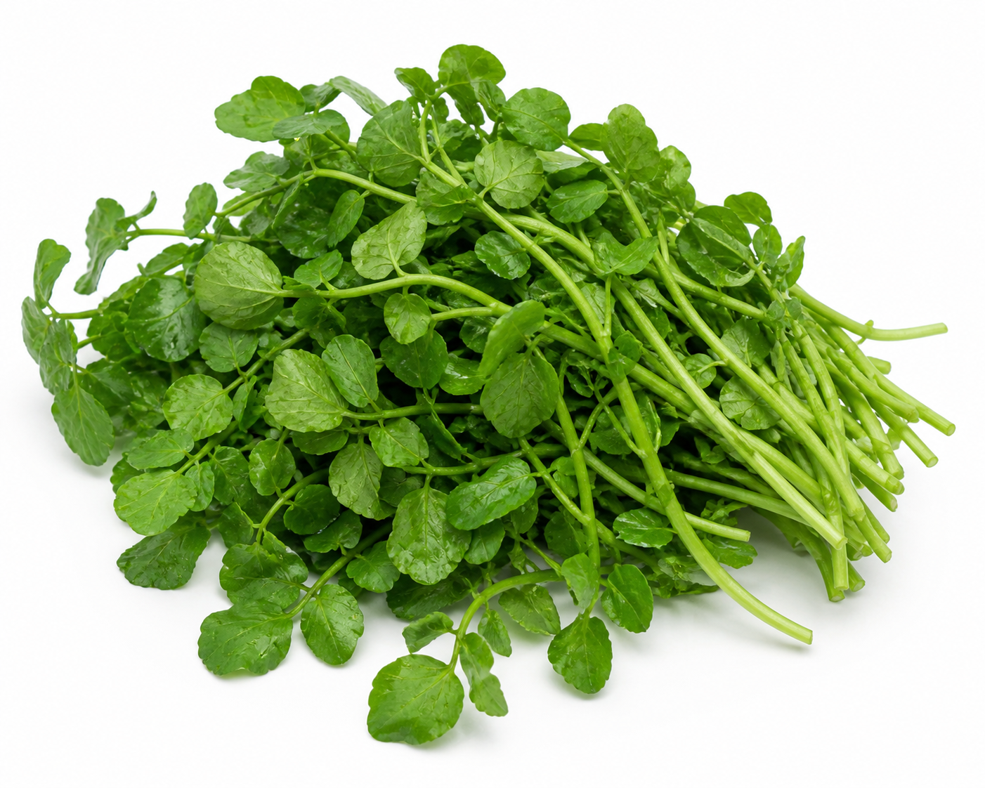 Watercress