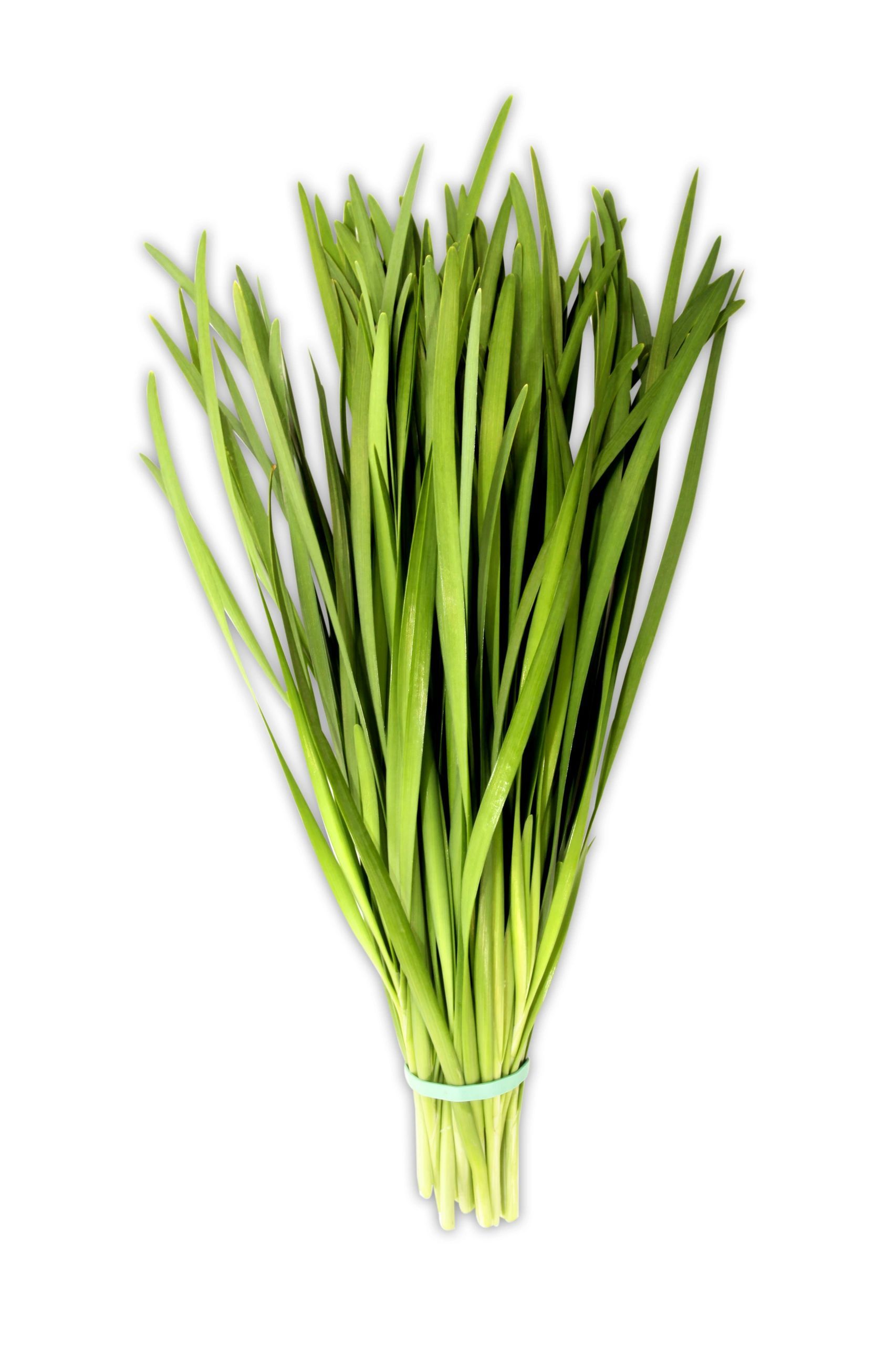 Green Nira/Chive