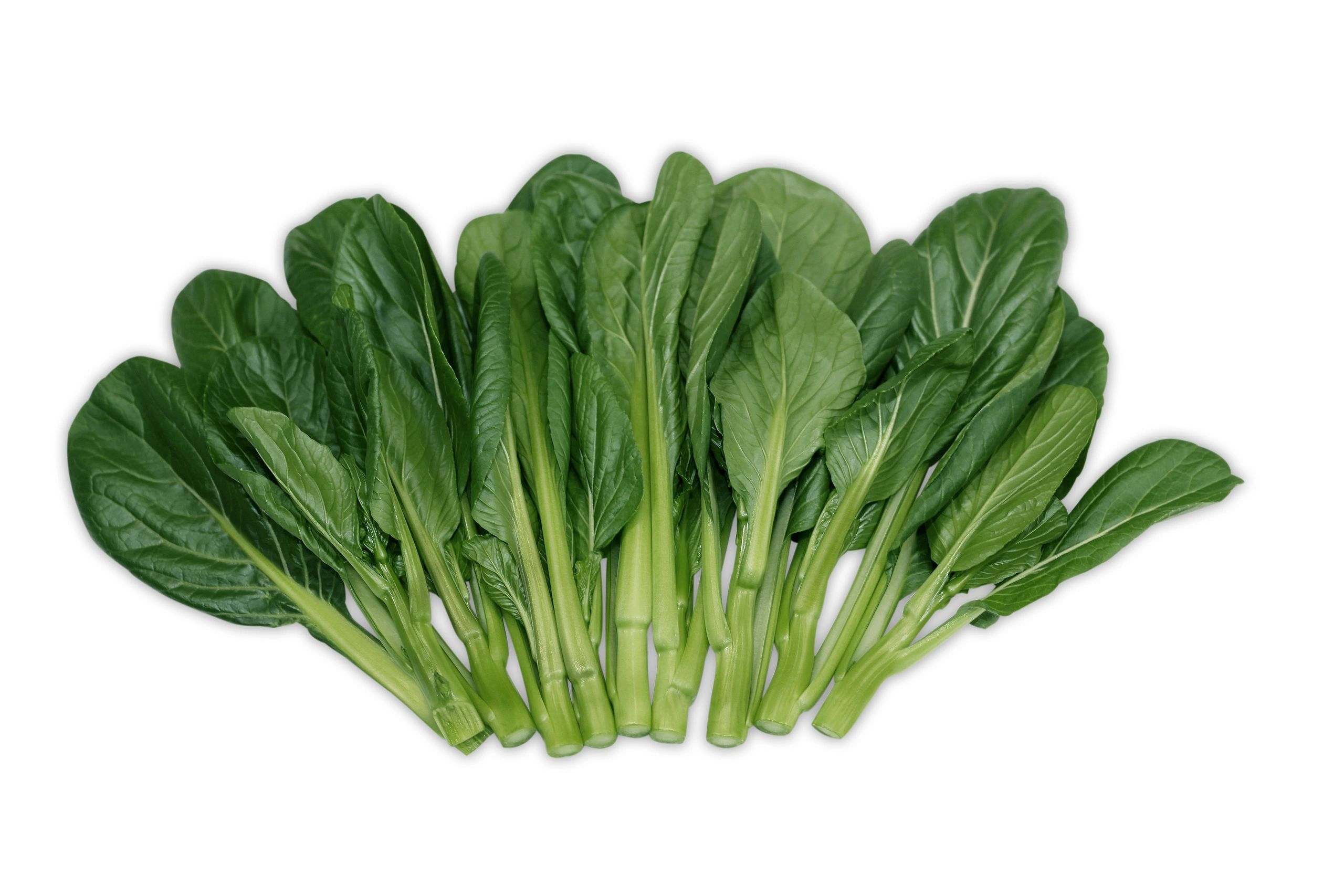 Yu Choy Jr