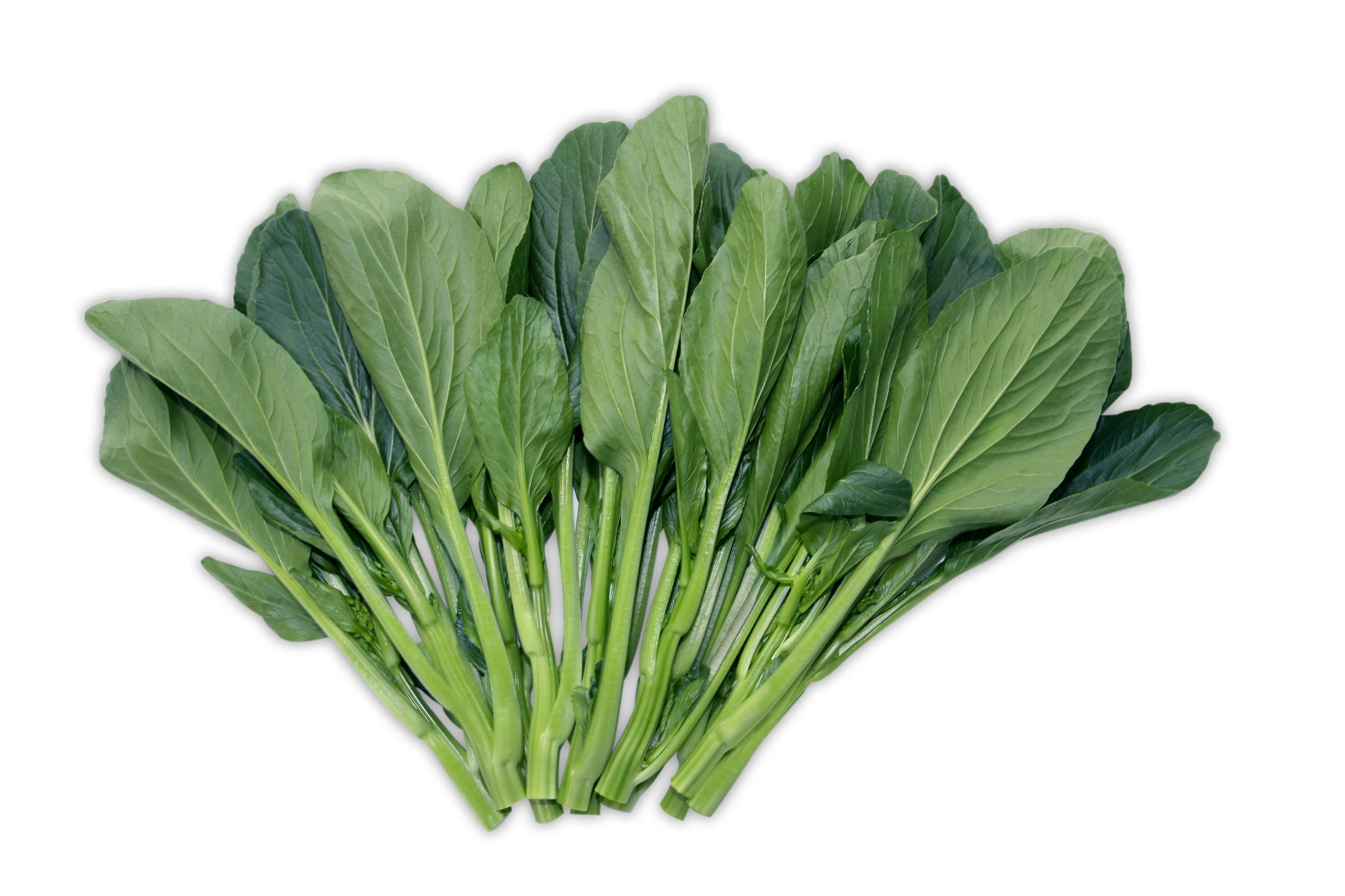 Yu Choy