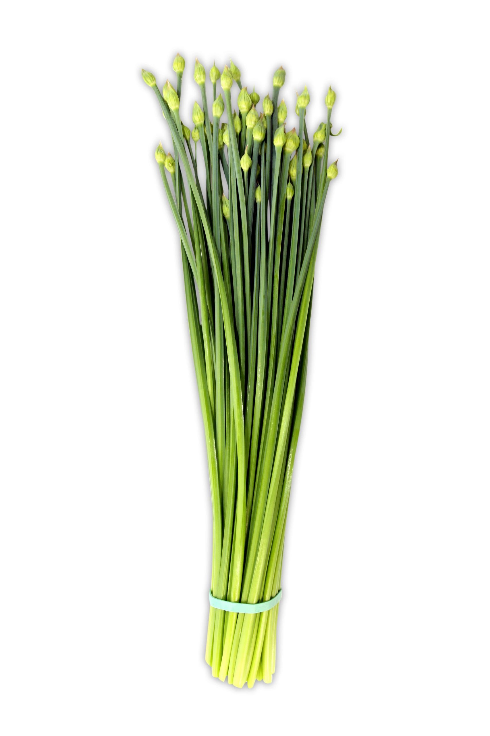 Nira/Chive Flower