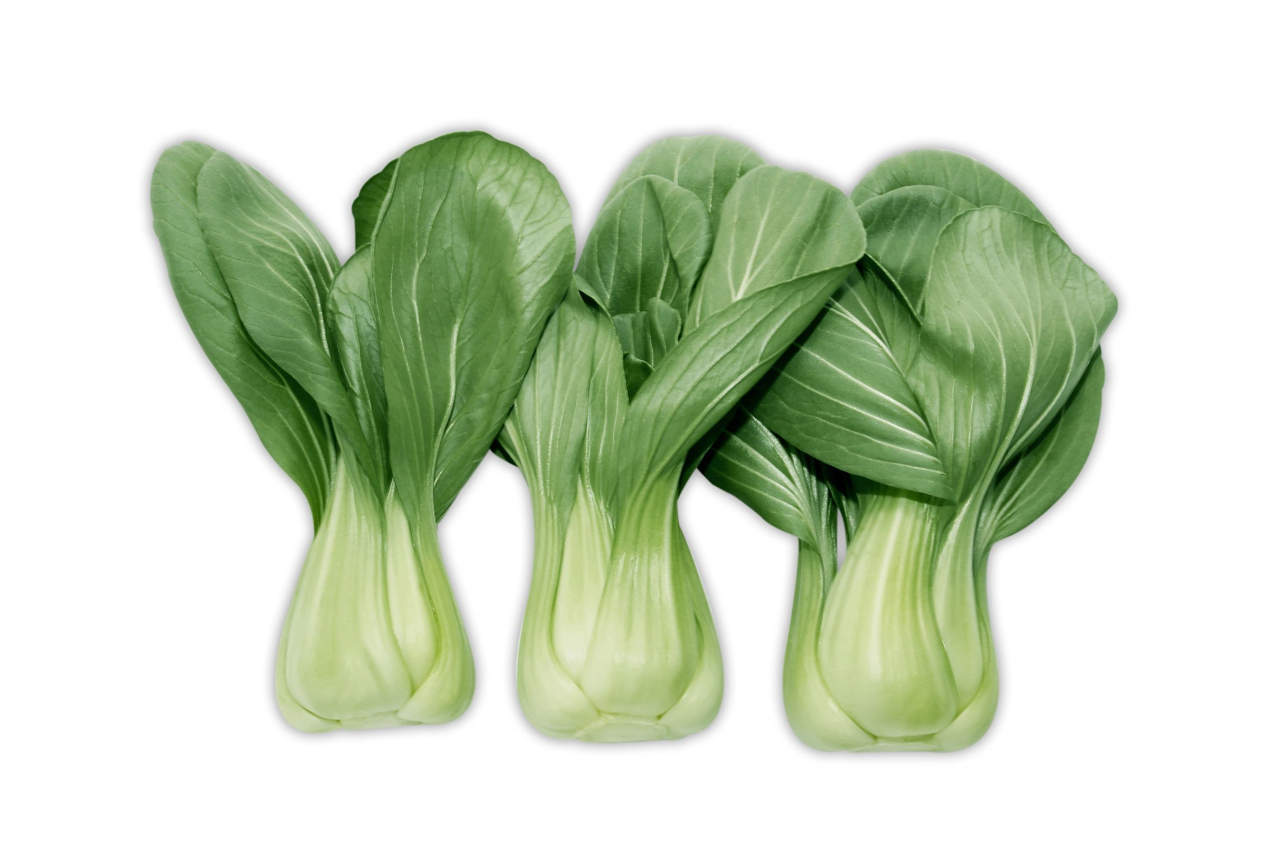 Shanghai Bok Choy