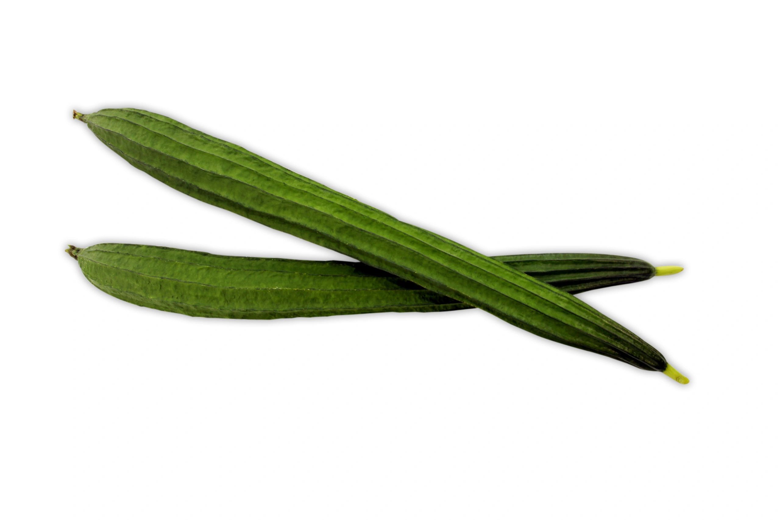 Long Sinqua