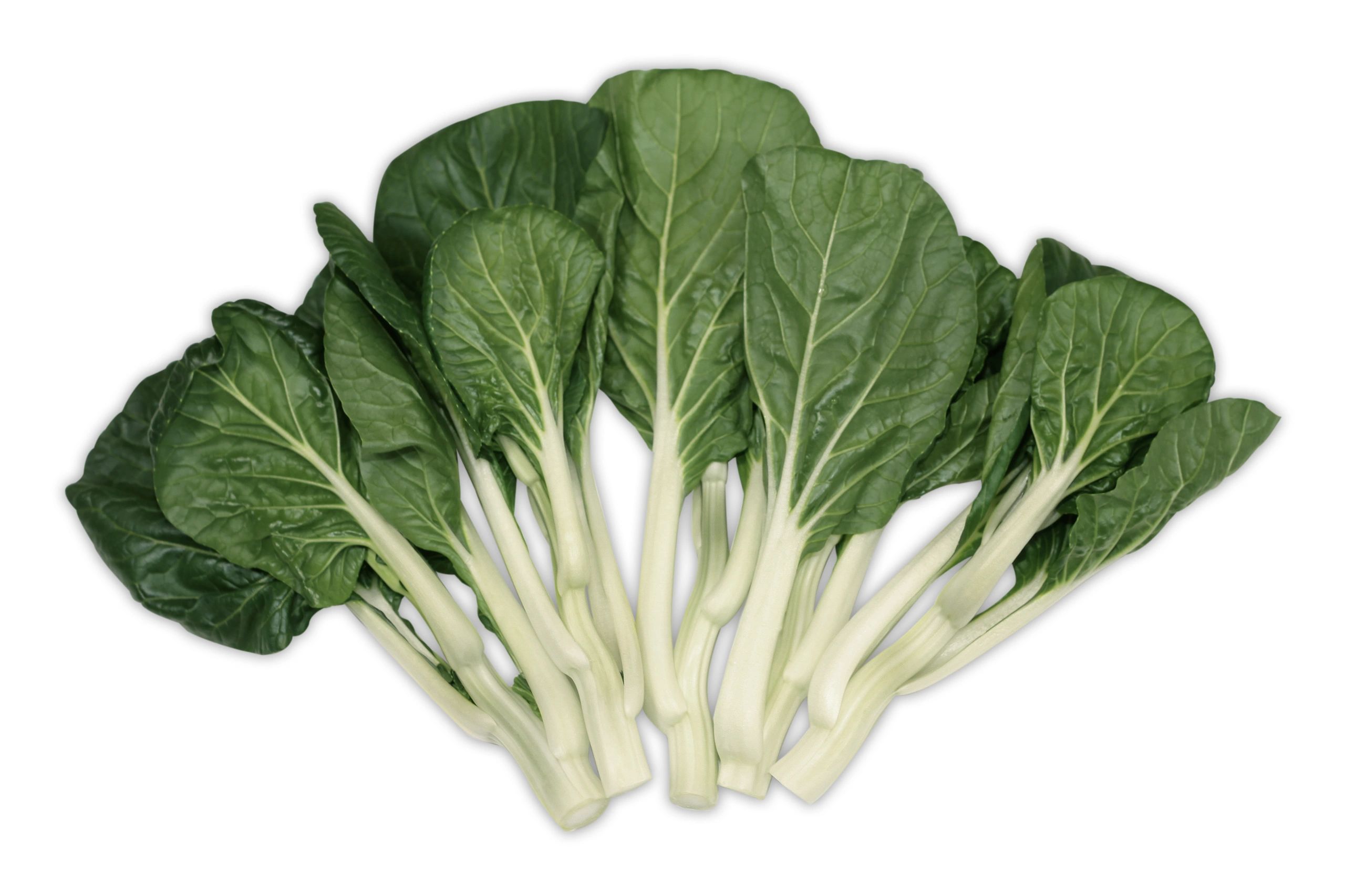 Bok Choy Sum