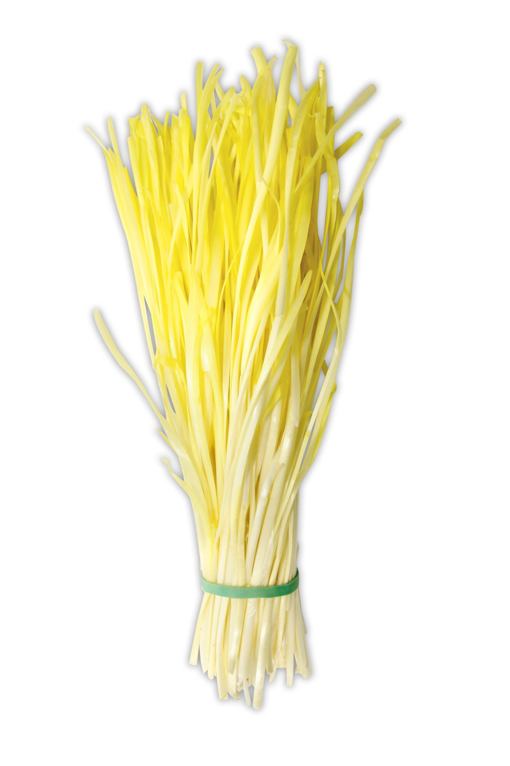 Yellow Nira/Chive