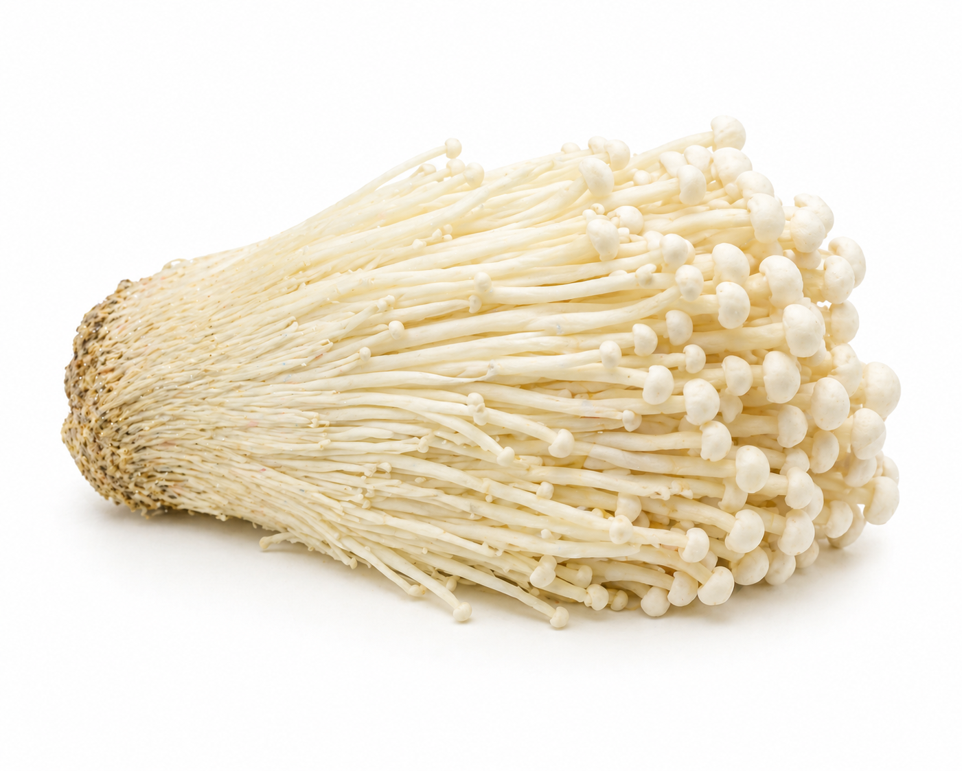 Enoki Mushroom