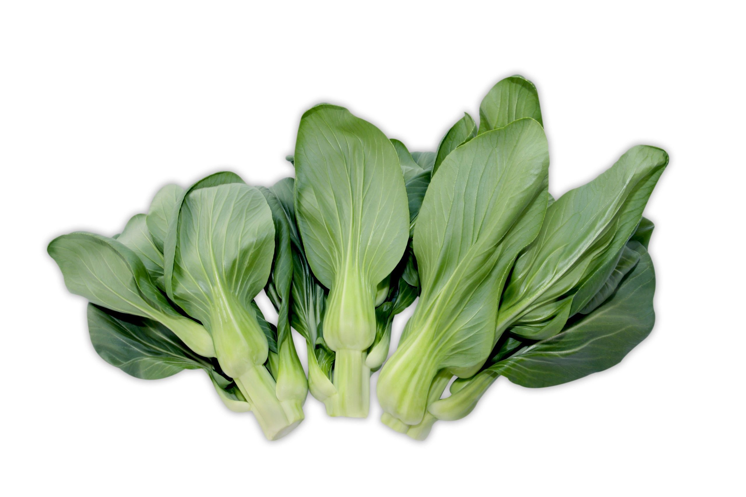 Shanghai Bok Choy Sum