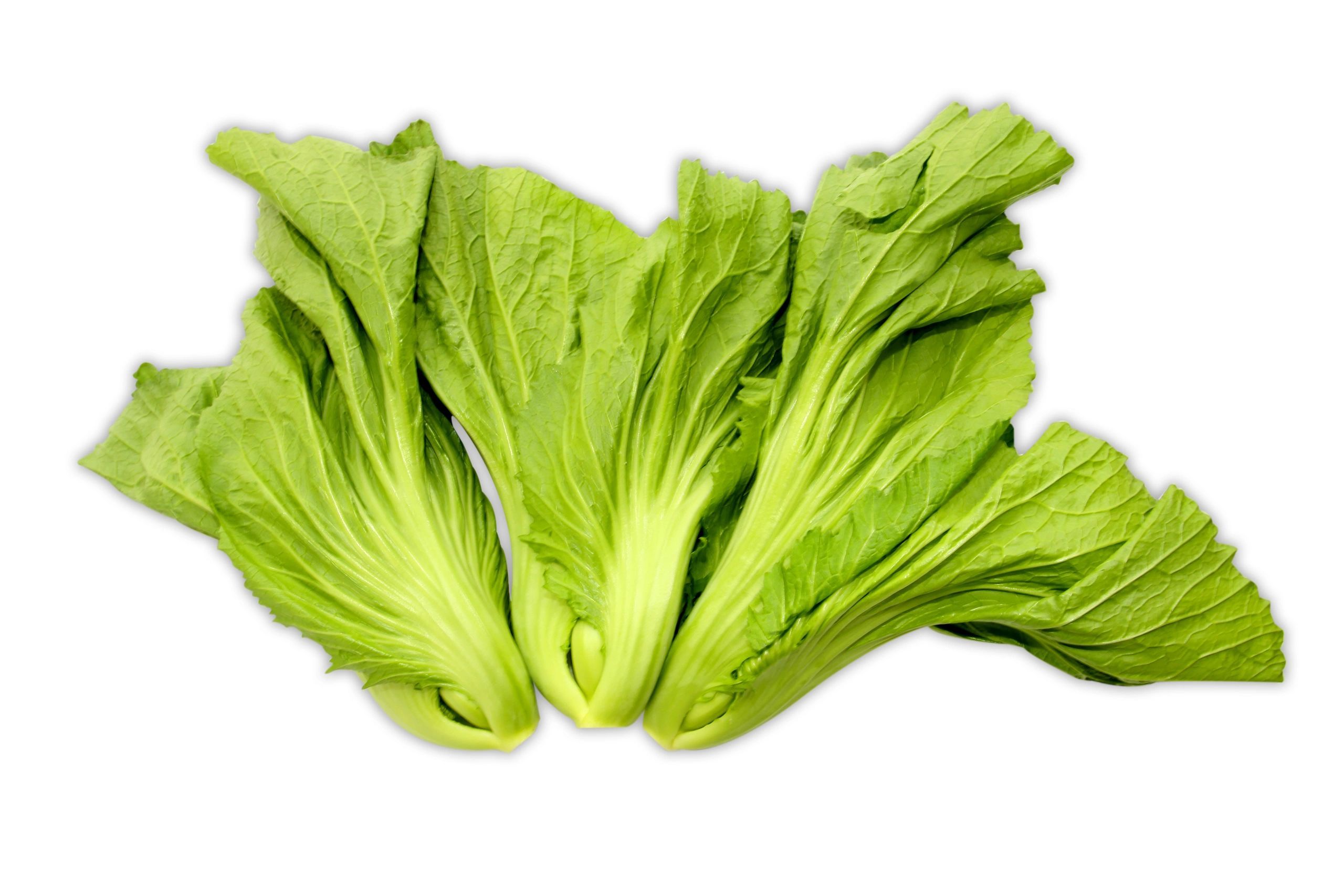 Baby Gai Choy