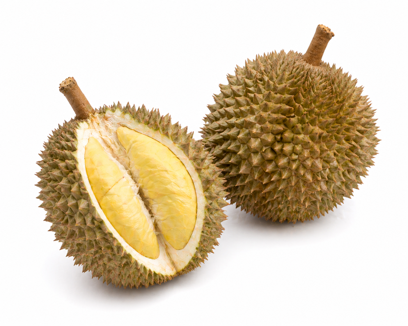 Blackthorn Durian (Frozen)