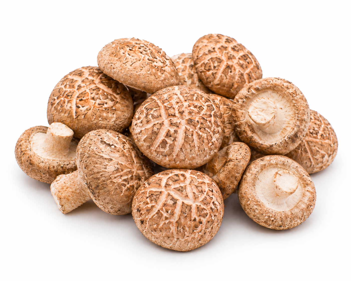 Flower Shiitake