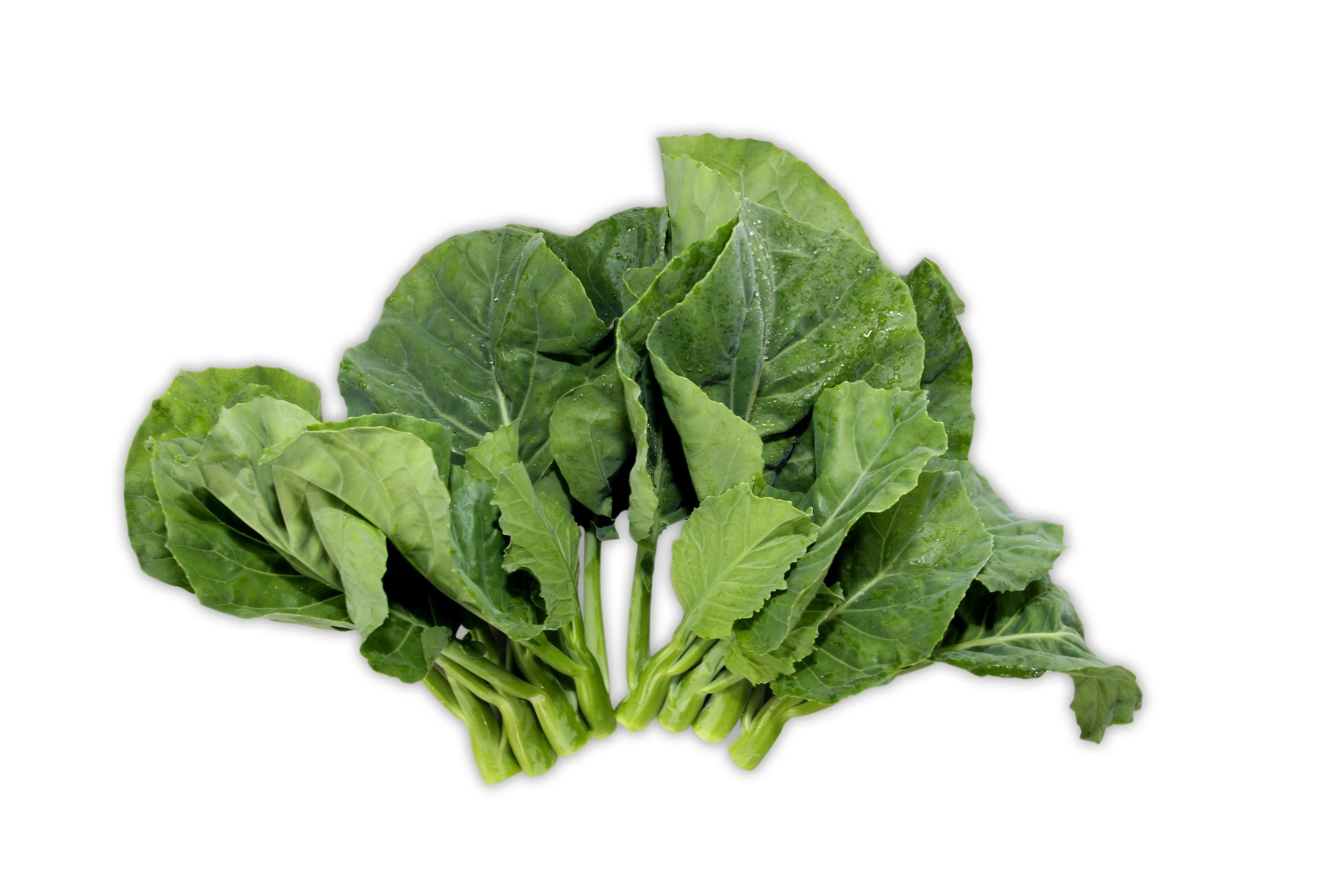 Gai Lan Jr