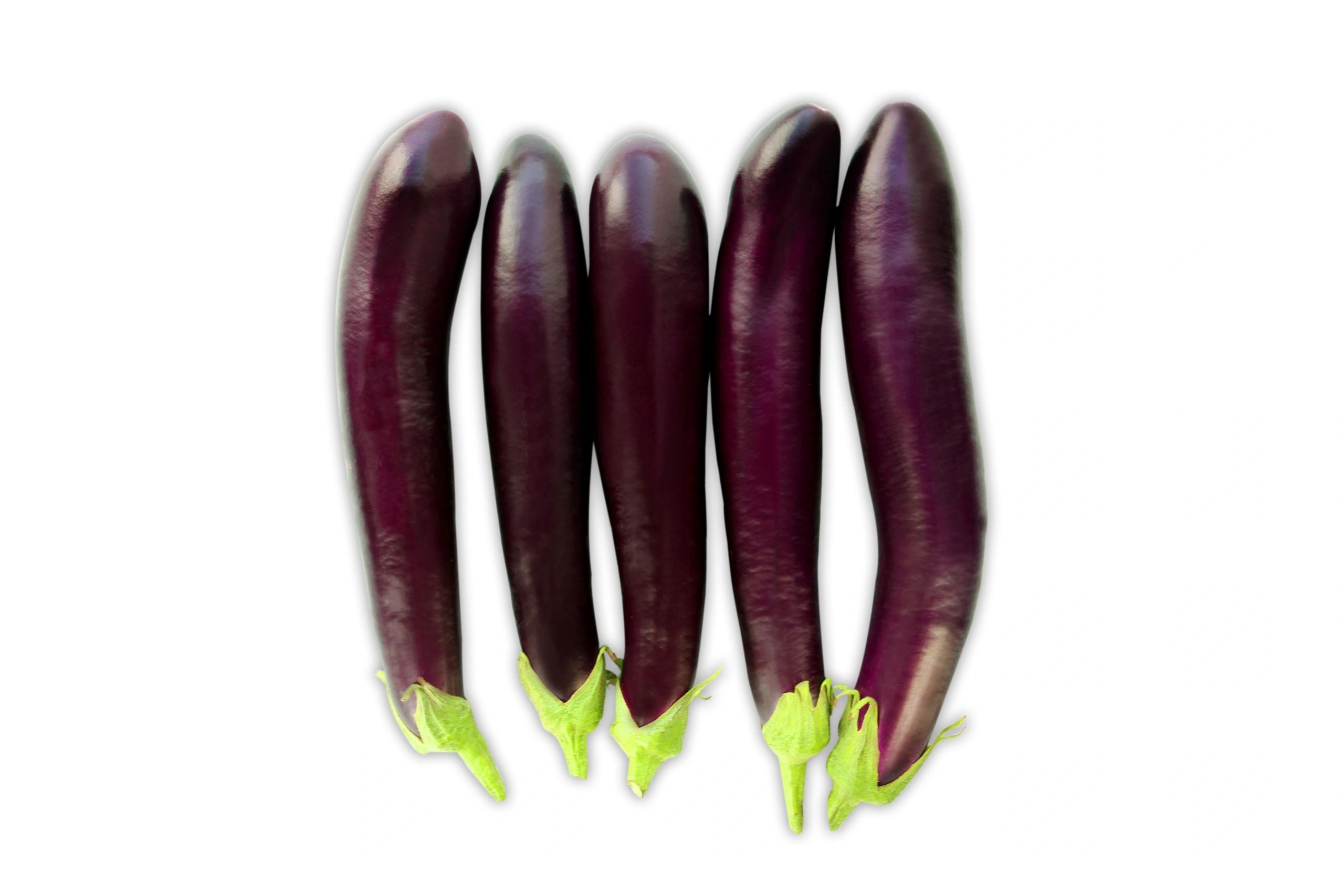Chinese Eggplant