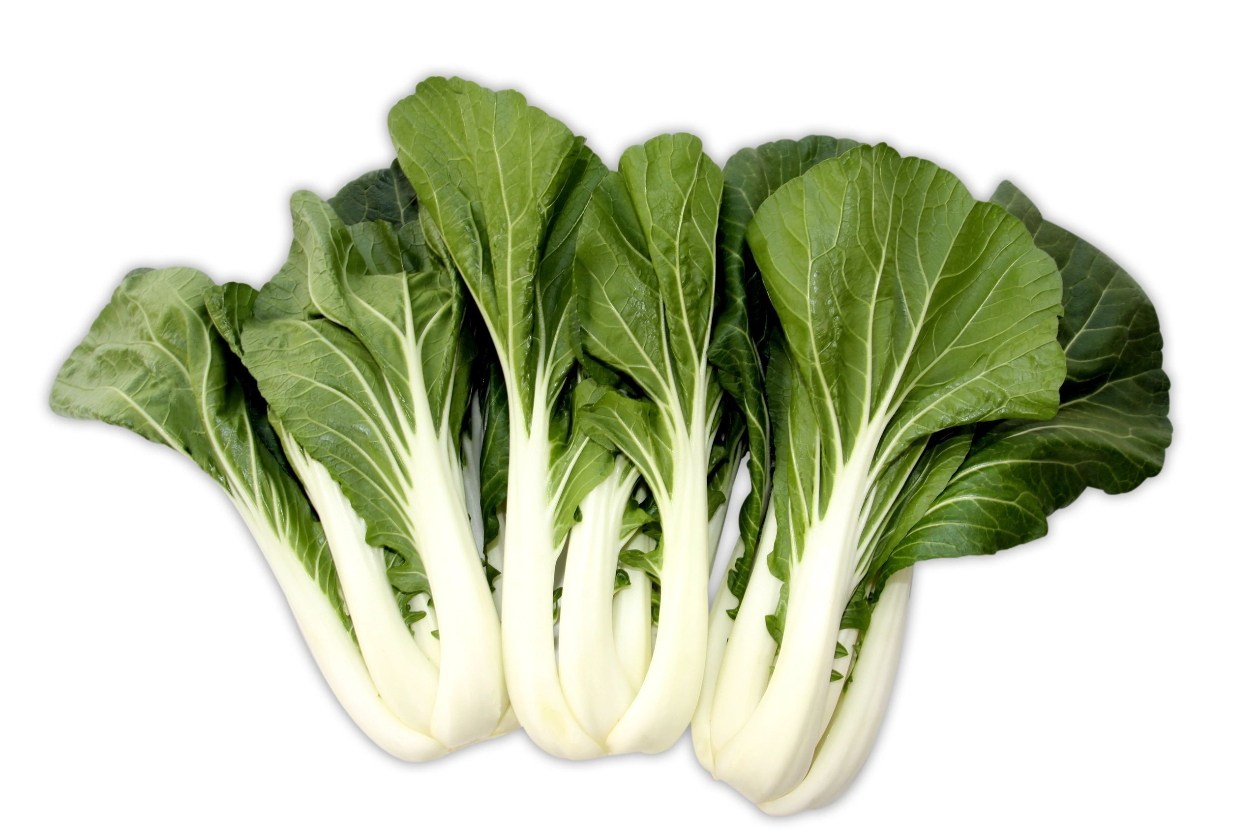 Big Bok Choy
