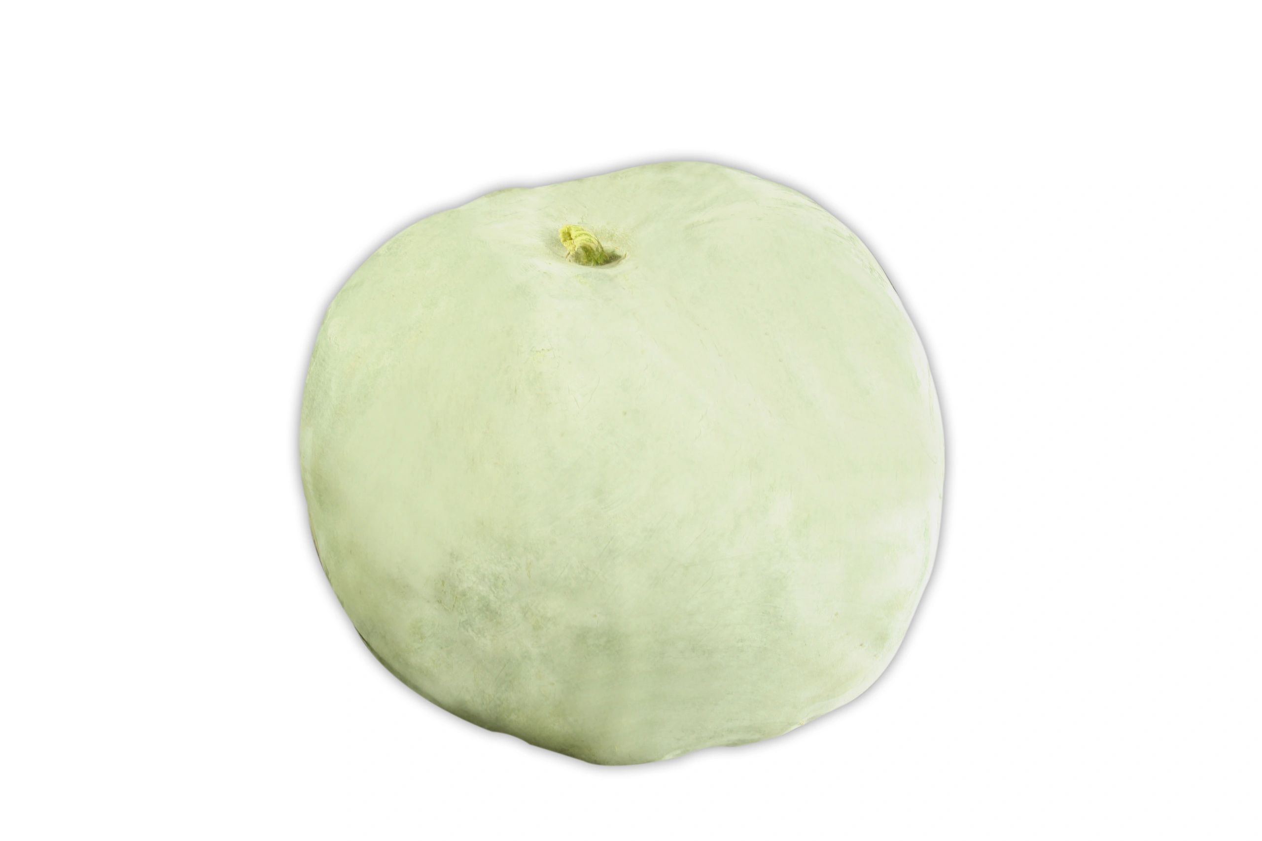 Big Winter Melon