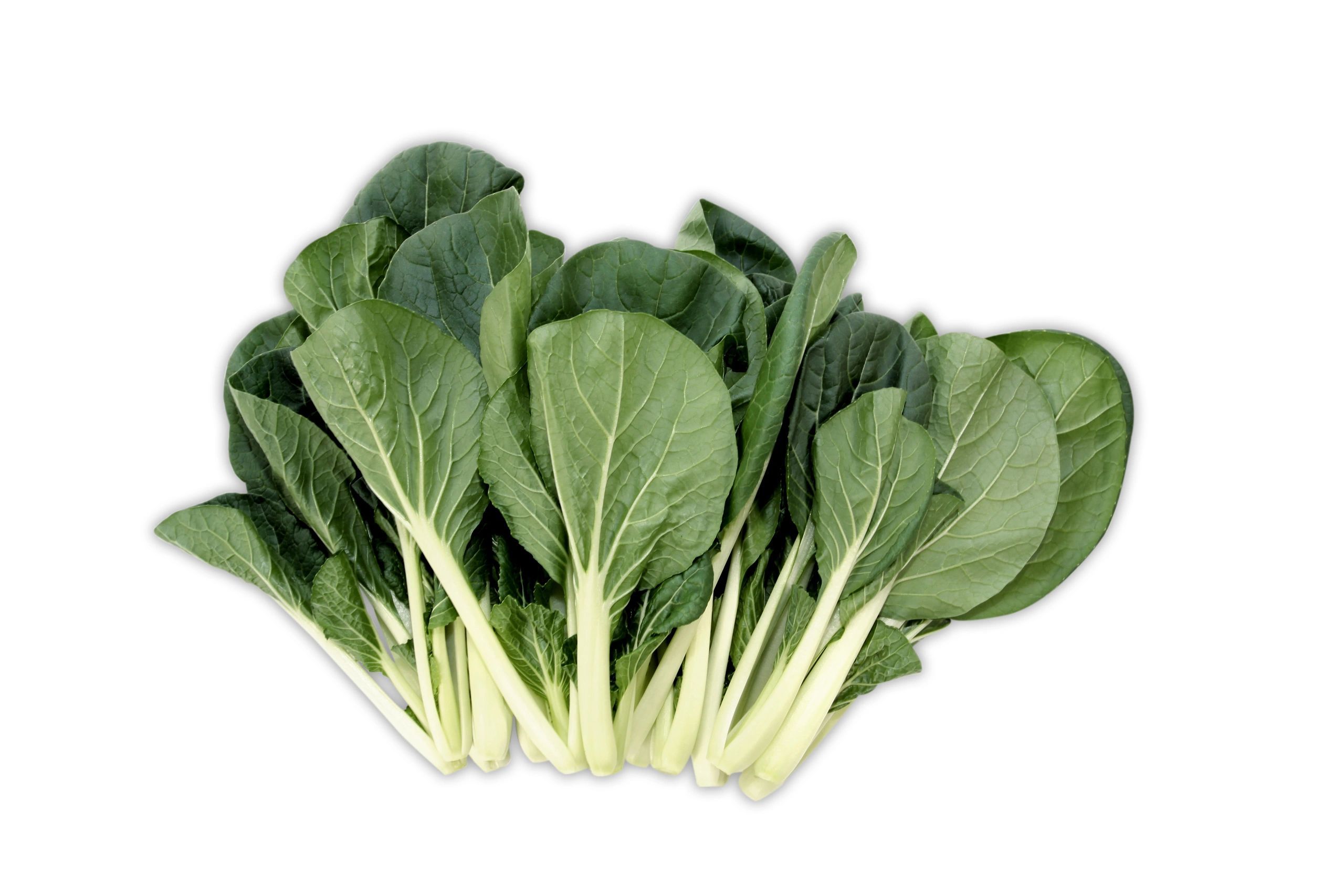 Bok Choy Sum Jr
