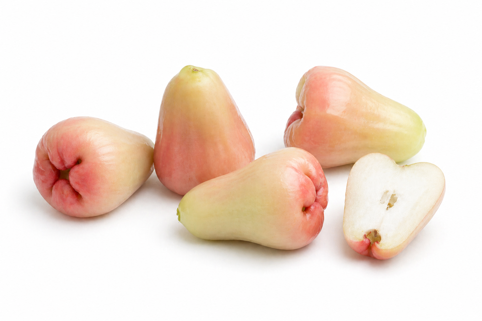 Wax Apple