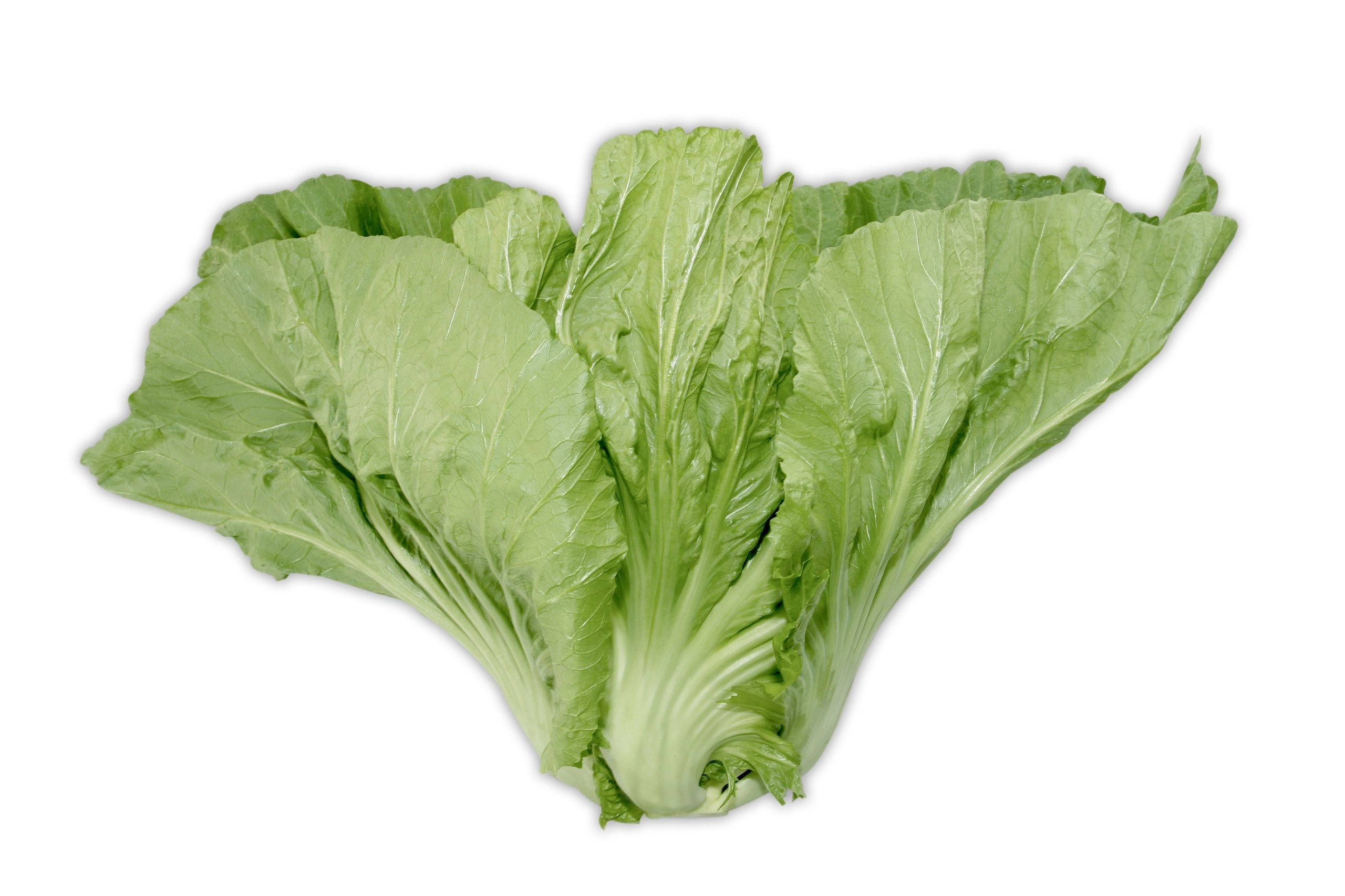 Big Gai Choy