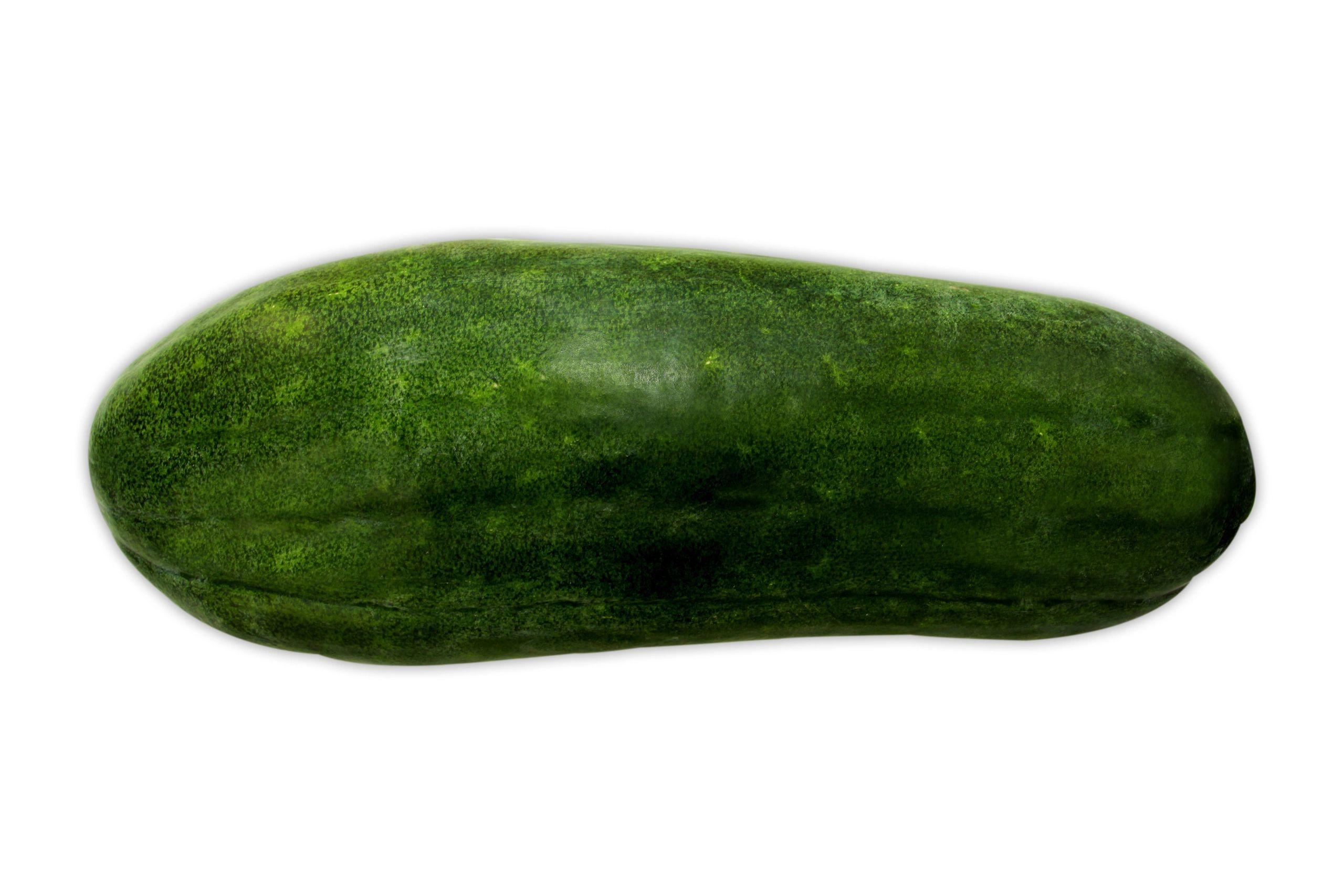 Long Winter Melon