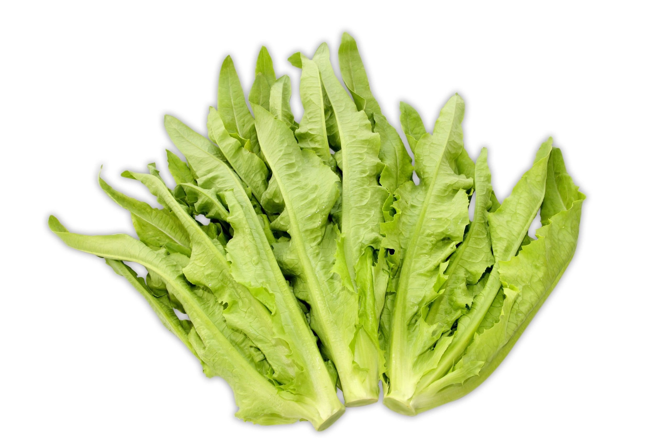 A Choy